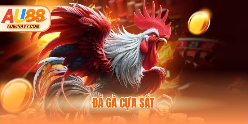Đá gà cựa sắt
