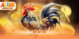 Đá gà tre