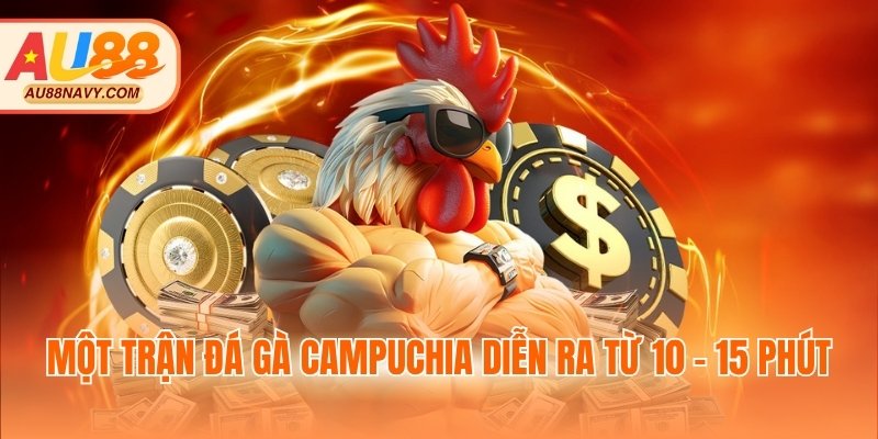 Một trận đá gà Campuchia diễn ra từ 10 - 15 phút