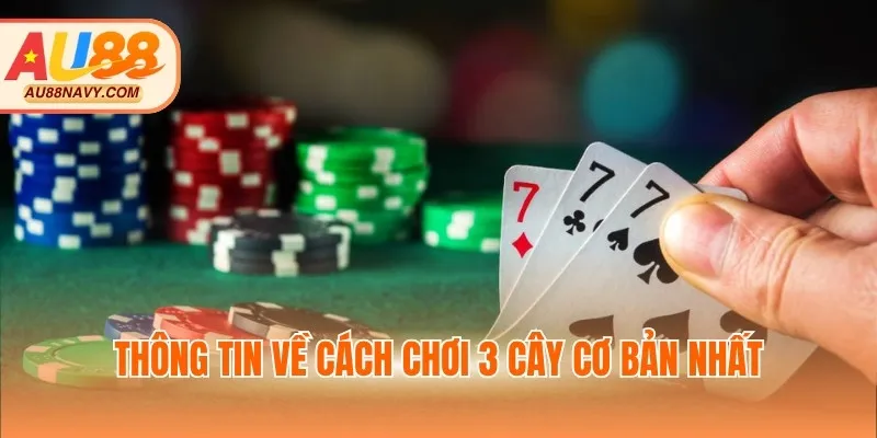 Thông tin về cách chơi 3 cây cơ bản nhất